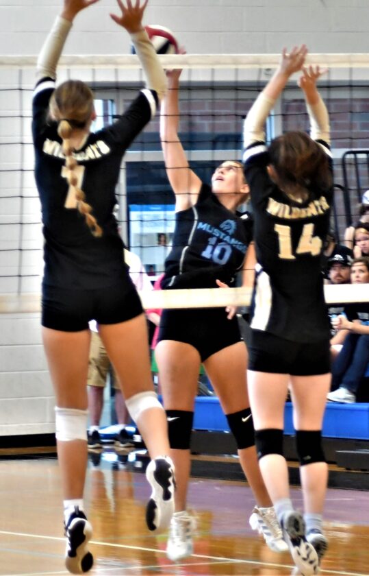 MiddWestHalifax volleyball gallery News, Sports, Jobs The Sentinel
